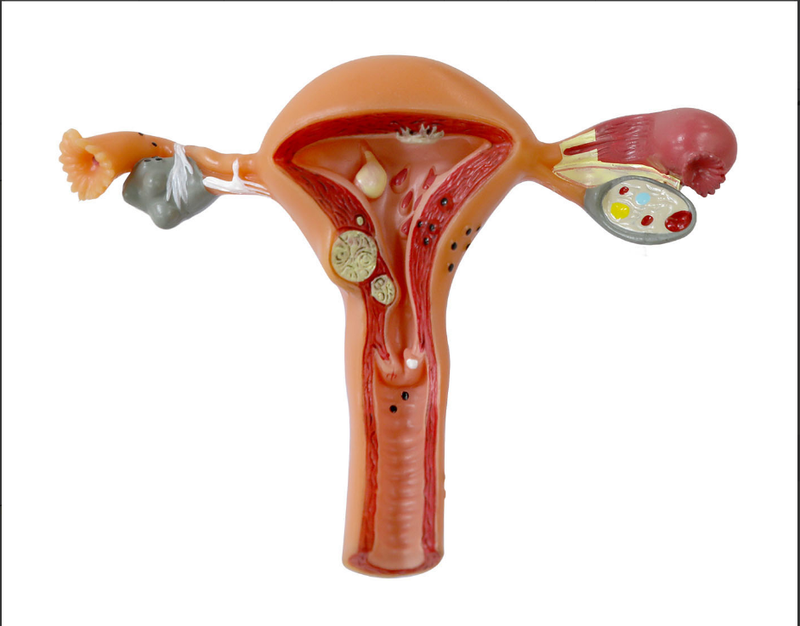 1763630501984 1763630501984